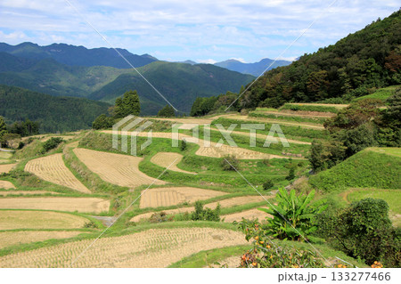 稲刈りの終わった棚田の山里の風景 稲刈りの終わった棚田の山里の風景 133277466