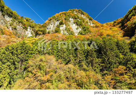 秋の紅葉に染まる名張の香落渓 133277497