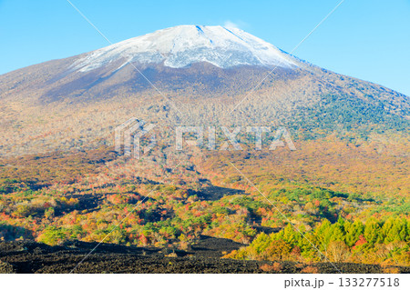 秋の焼走り熔岩流から見た積雪と紅葉の岩手山 岩手県八幡平市 秋の焼走り熔岩流から見た積雪と紅葉の岩手山 岩手県八幡平市 133277518