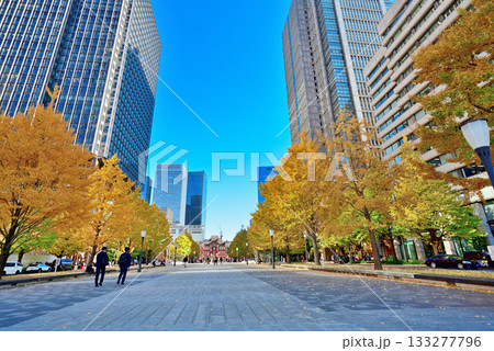 行幸通りから見た黄葉した銀杏並木と高層ビル群 行幸通りから見た黄葉した銀杏並木と高層ビル群 133277796