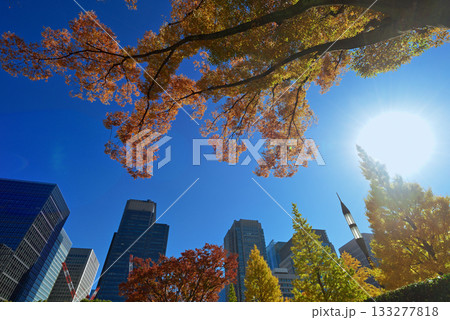 青空が広がる和田倉噴水公園とビル街 133277818
