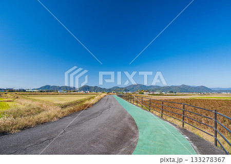 近江八幡市の田園地帯を通るサイクリングロード 133278367