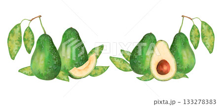 Fruit composition featuring a whole, half sliced avocado with leaves. Watercolor illustration. Hand drawn isolated art. Botanical sketch of the vegetable for food packaging, juice or menu items. 133278383