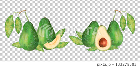 Fruit composition featuring a whole, half sliced avocado with leaves. Watercolor illustration. Hand drawn isolated art. Botanical sketch of the vegetable for food packaging, juice or menu items. 133278383