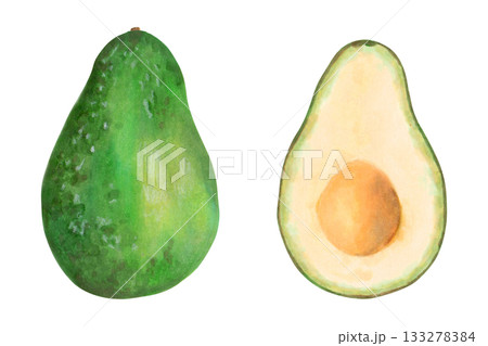 Whole avocado and halves. Botanical illustration with watercolor and marker. Hand drawn isolated art. Fruit for food or cosmetic packaging design, menus. Cookbook. Whole avocado and halves. Botanical illustration with watercolor and marker. Hand drawn isolated art. Fruit for food or cosmetic packaging design, menus. Cookbook. 133278384