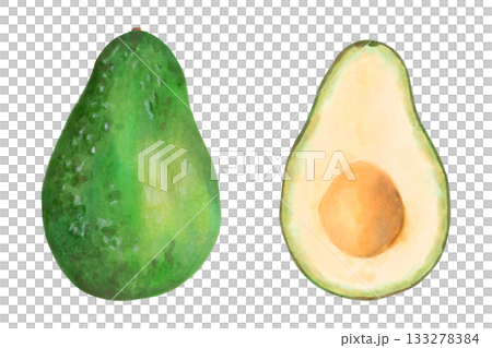 Whole avocado and halves. Botanical illustration with watercolor and marker. Hand drawn isolated art. Fruit for food or cosmetic packaging design, menus. Cookbook. Whole avocado and halves. Botanical illustration with watercolor and marker. Hand drawn isolated art. Fruit for food or cosmetic packaging design, menus. Cookbook. 133278384