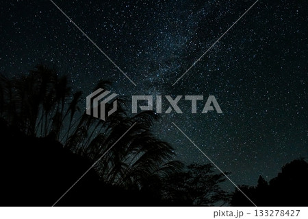 ススキと星空　夜の静寂の中に輝く天の川と秋の幻想的な風景 133278427