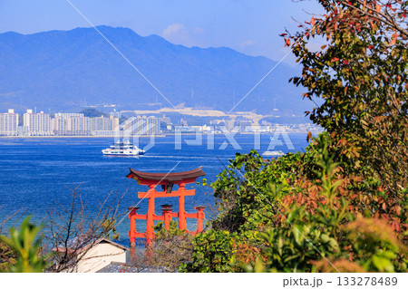 紅葉見頃な宮島紅葉谷公園と厳島神社 紅葉見頃な宮島紅葉谷公園と厳島神社 133278489