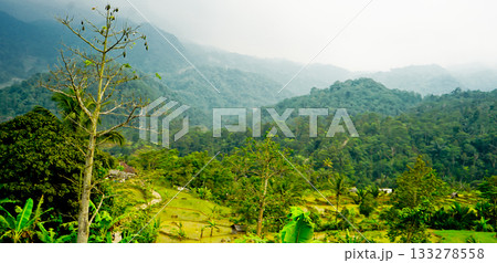 beautiful view of green hills with fog beautiful view of green hills with fog 133278558