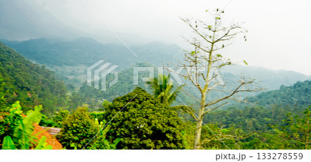 beautiful view of green hills with fog beautiful view of green hills with fog 133278559