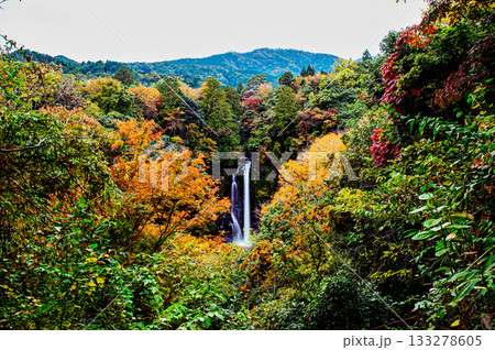 神鍋高原・八反の滝 横 紅葉に包まれた渓谷を望む秋の絶景風景 神鍋高原・八反の滝 横 紅葉に包まれた渓谷を望む秋の絶景風景 133278605
