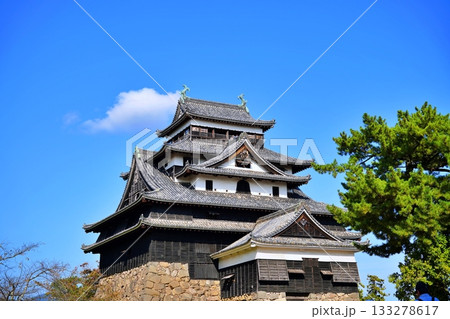 松江城　(島根県松江市) 133278617