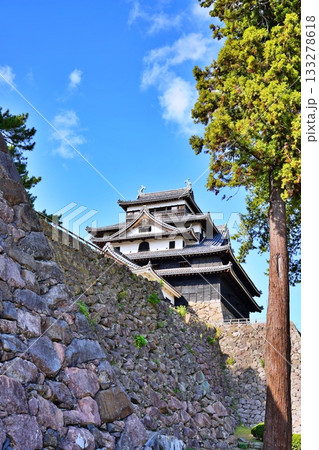 松江城　(島根県松江市) 133278618