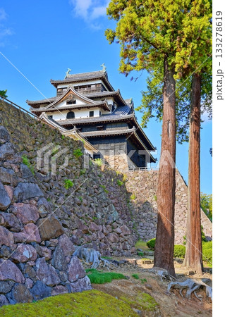 松江城 (島根県松江市) 松江城 (島根県松江市) 133278619