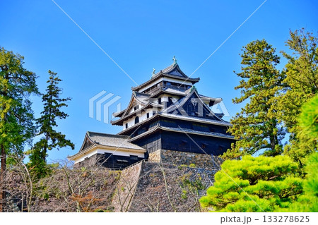 松江城 (島根県松江市) 松江城 (島根県松江市) 133278625