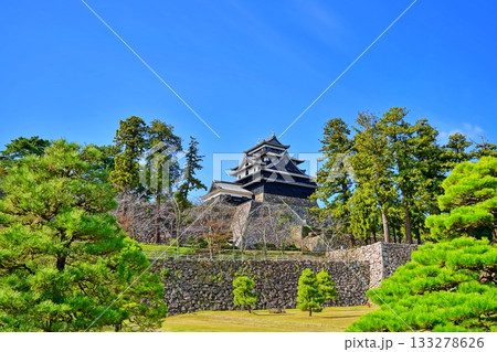 松江城　(島根県松江市) 133278626