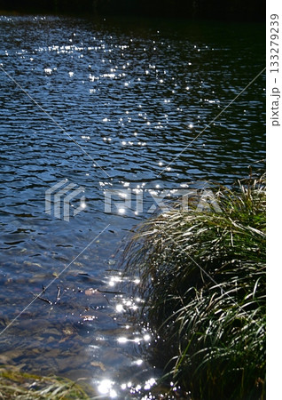 水面の煌き 水面の煌き 133279239