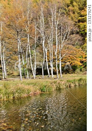 竜ヶ沢ダム湖奥の秋景色 竜ヶ沢ダム湖奥の秋景色 133279241
