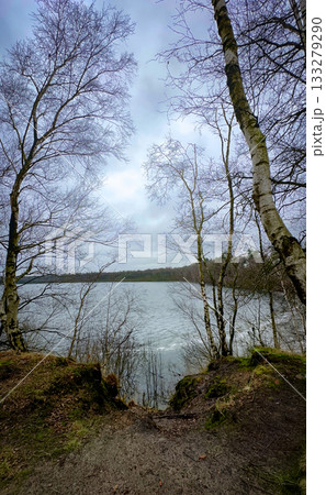 A Serene and Tranquil Lakeside Scene Featuring Leafless Trees in an Overcast Sky A Serene and Tranquil Lakeside Scene Featuring Leafless Trees in an Overcast Sky 133279290
