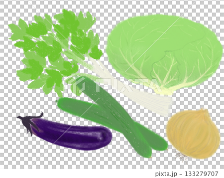 Light-colored vegetable illustrations, hand-drawn 133279707