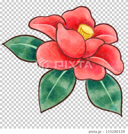 Hand drawn raster illustration of camellia flower 133280139