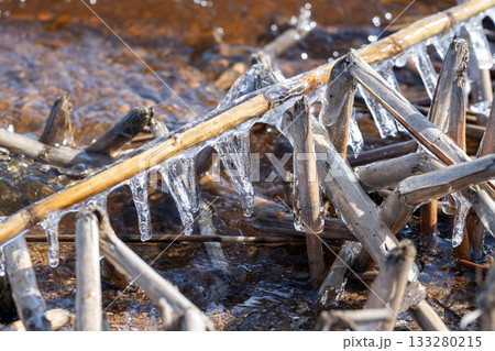 A close-up of jagged icicles hanging from dry reed stems along a icy riverbank 133280215