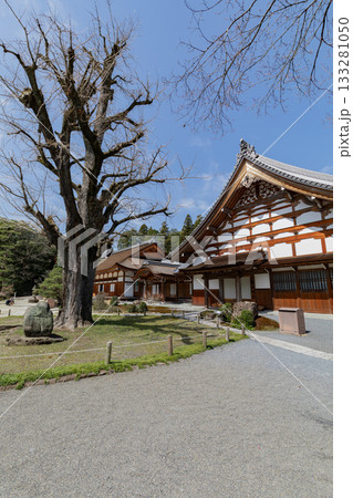 虎渓山永保寺 本堂 虎渓山永保寺 本堂 133281050