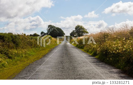 Flat design is showing narrow paved country road flanked by hedgerows and clouds Flat design is showing narrow paved country road flanked by hedgerows and clouds 133281271