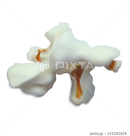 Abstract popcorn shape. Popped corn kernel, salty or sweet. 133281829