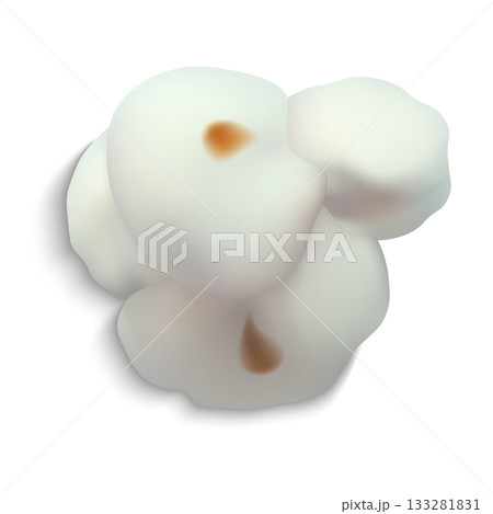 Realistic puffed popcorn kernel, fried salty or sweet. 133281831