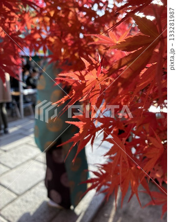 秋祭りの日の紅葉と宮司（11月 長野県松本市 四柱神社） 133281987