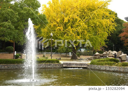 噴水のある公園 133282094