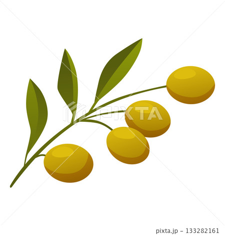 Branch of green olives with leaves flat vector icon, cartoon raw olive fruit farm product, harvest agricultural plant Branch of green olives with leaves flat vector icon, cartoon raw olive fruit farm product, harvest agricultural plant 133282161