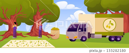Olive harvesting process, with characters, a truck, and trees. 133282180
