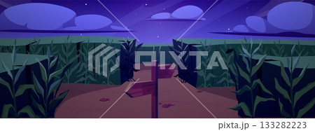 Night background with a cornfield, a fork in the road, a wooden sign, clouds, and stars. 133282223