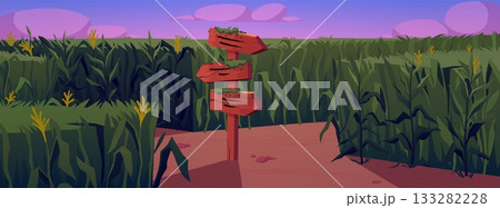 Cornfield with a blank wooden sign at a rural crossroads, pink sunset sky. Cornfield with a blank wooden sign at a rural crossroads, pink sunset sky. 133282228
