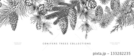 Black and white banner with a seamless top border of various pine branches and cones. Black and white banner with a seamless top border of various pine branches and cones. 133282235