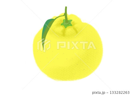 ゆずのイラスト、葉付き、白バック ゆずのイラスト、葉付き、白バック 133282263