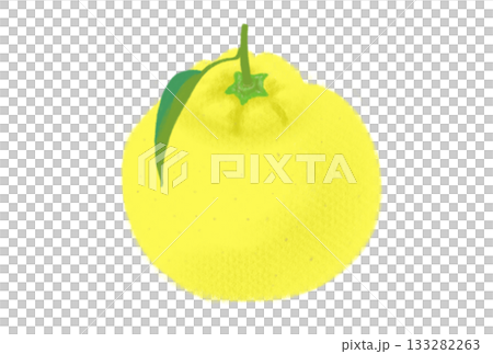 ゆずのイラスト、葉付き、白バック ゆずのイラスト、葉付き、白バック 133282263