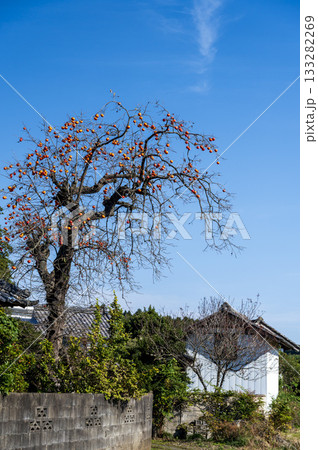 里山の柿の木のある風景　 133282269
