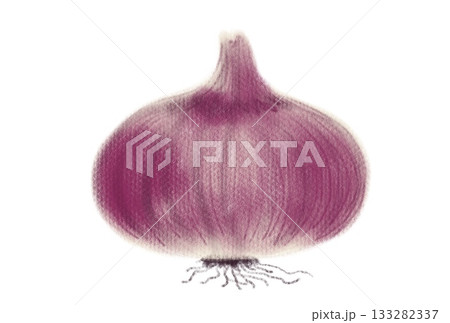紫玉ねぎのイラスト 133282337