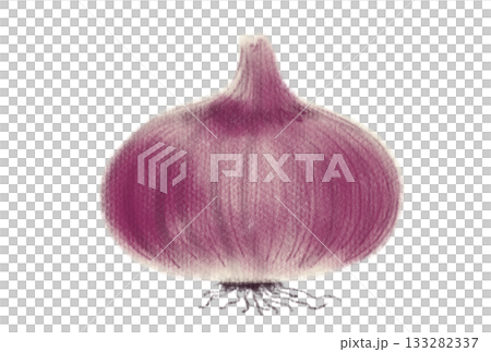 紫玉ねぎのイラスト 133282337
