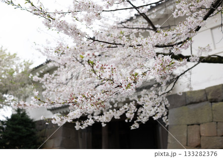 桜のある風景 133282376