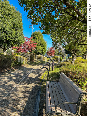 ベンチと木漏れ日の遊歩道 133282952