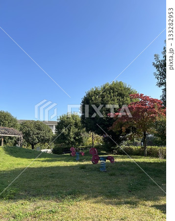 公園に広がる青空と緑の木々 公園に広がる青空と緑の木々 133282953