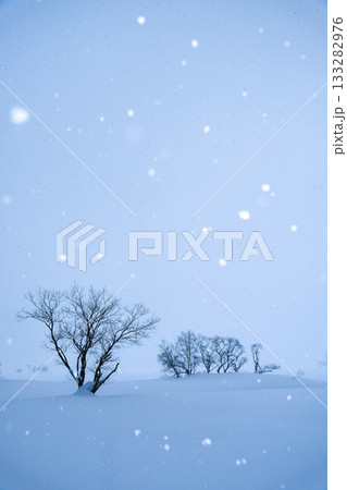 雪降る雪原 133282976
