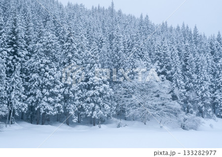 木々の雪景色 133282977