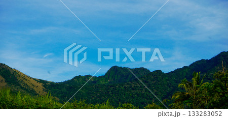 beautiful view of tropical rainforest shrouded in mist beautiful view of tropical rainforest shrouded in mist 133283052