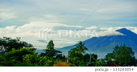 beautiful view of tropical rainforest shrouded in mist beautiful view of tropical rainforest shrouded in mist 133283054