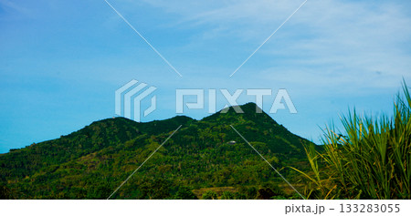 beautiful view of tropical rainforest shrouded in mist beautiful view of tropical rainforest shrouded in mist 133283055